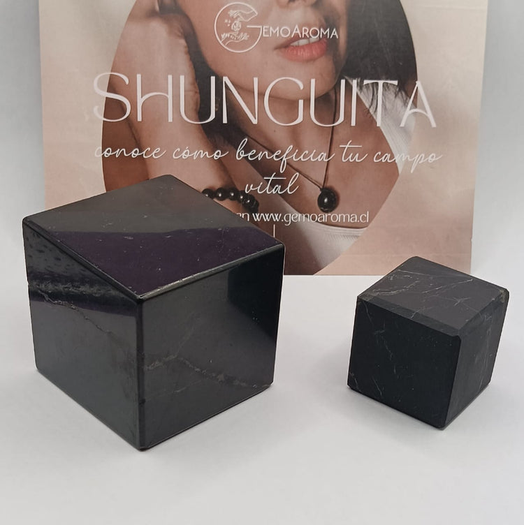 CUBOS DE SHUNGUITA