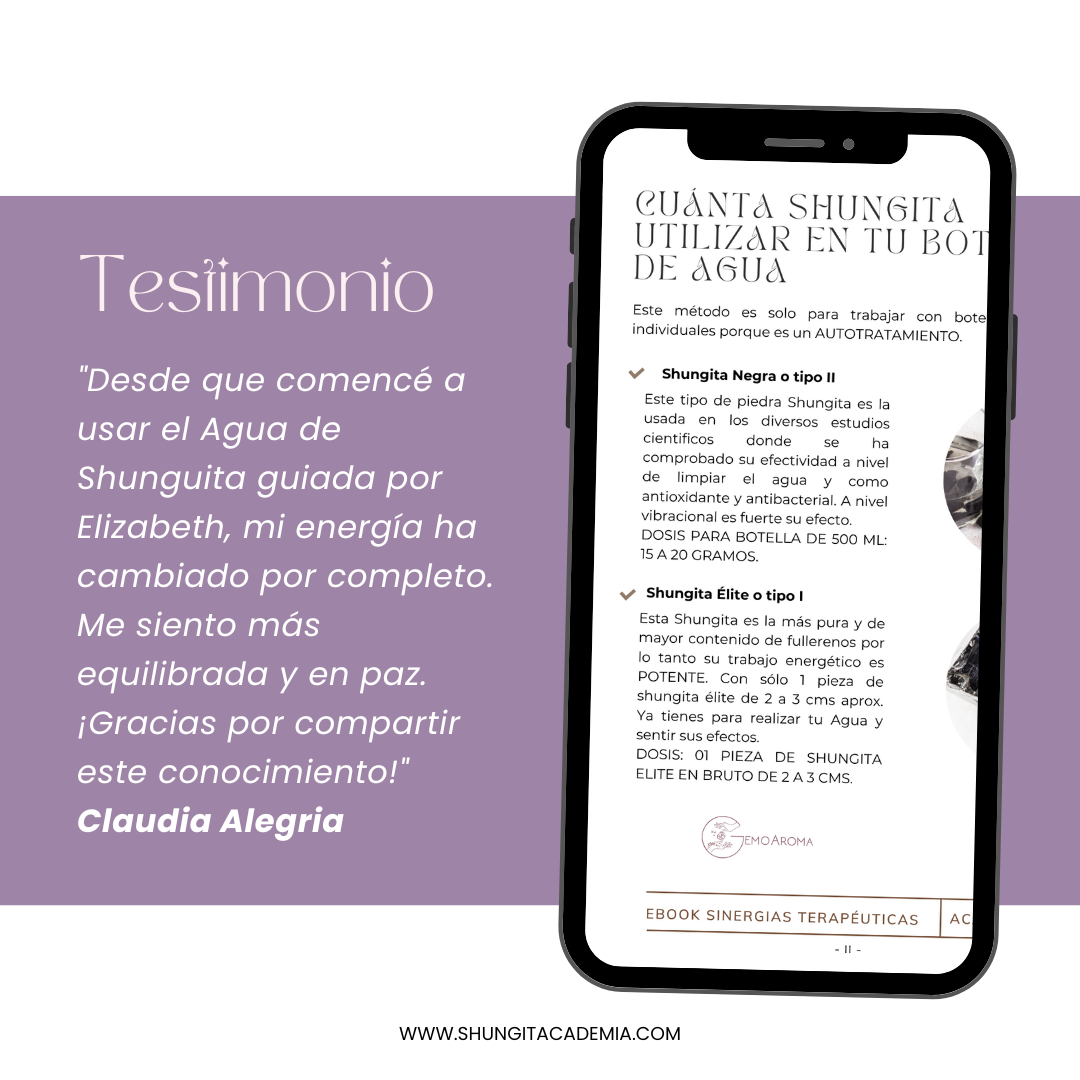 Agua de shunguita terapéutica con cristales: ebook