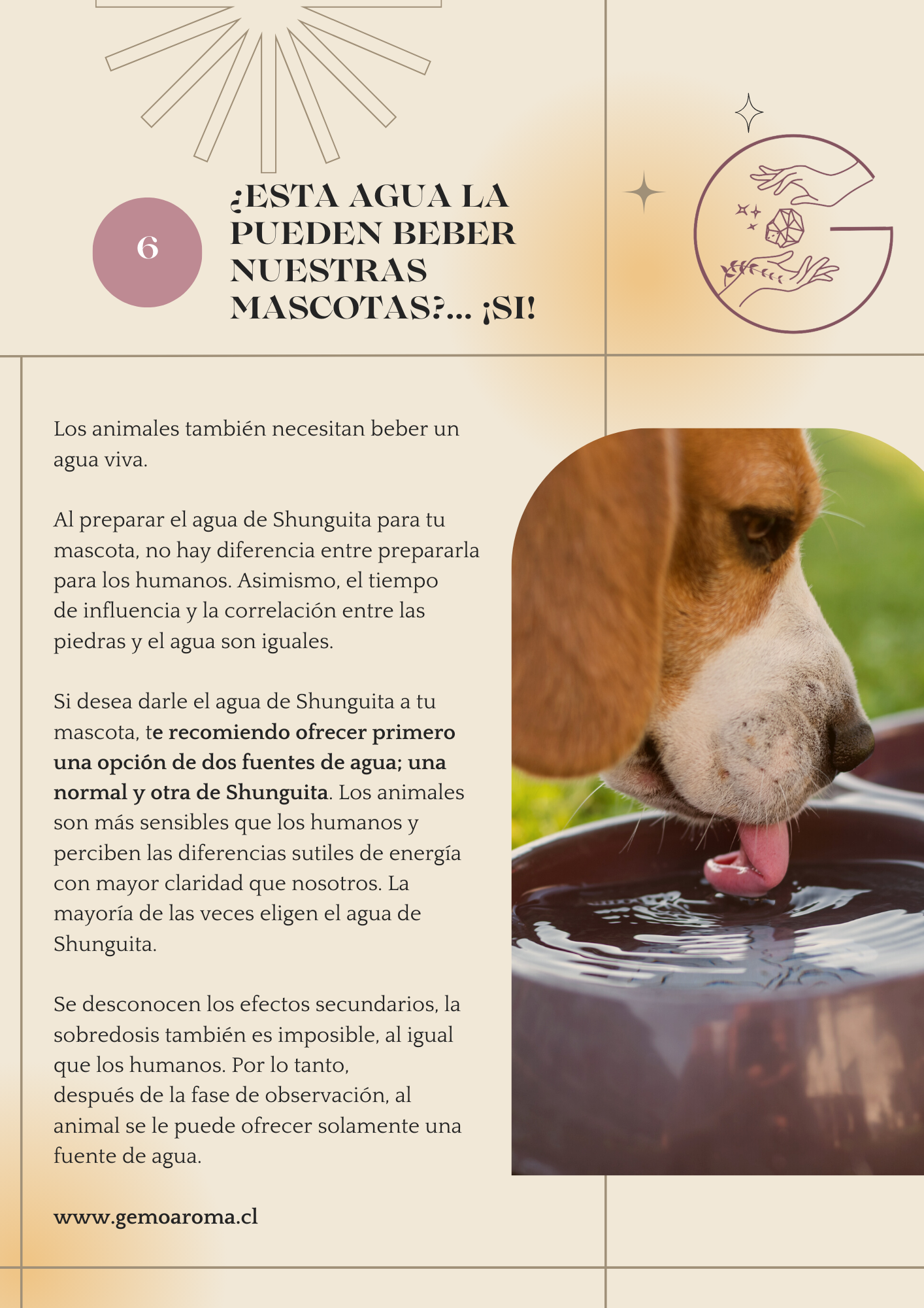 100 GRAMOS DE SHUNGUITA NEGRA (TIPO II) PARA PREPARA TU AGUA PARA BEBER + EBOOK MANUAL DE USO DE REGALO